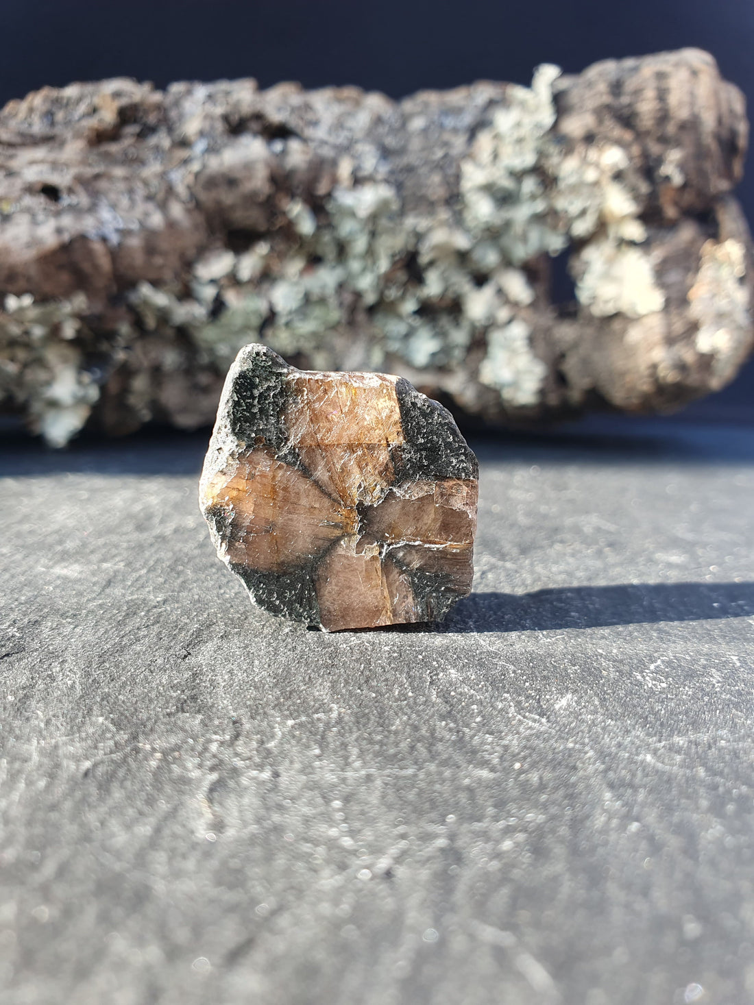 Chiastolite ou Andalousite